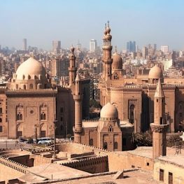 52nd Annual Meeting of the ISPN – ISPN 2026 Cairo