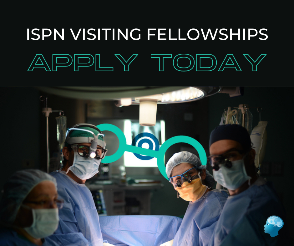 ISPN Visiting fellowships 2024-2025 – Open for applications!